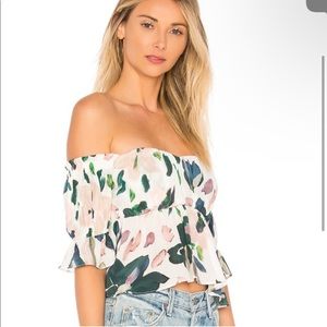 Stone Cold Fox Monte Top